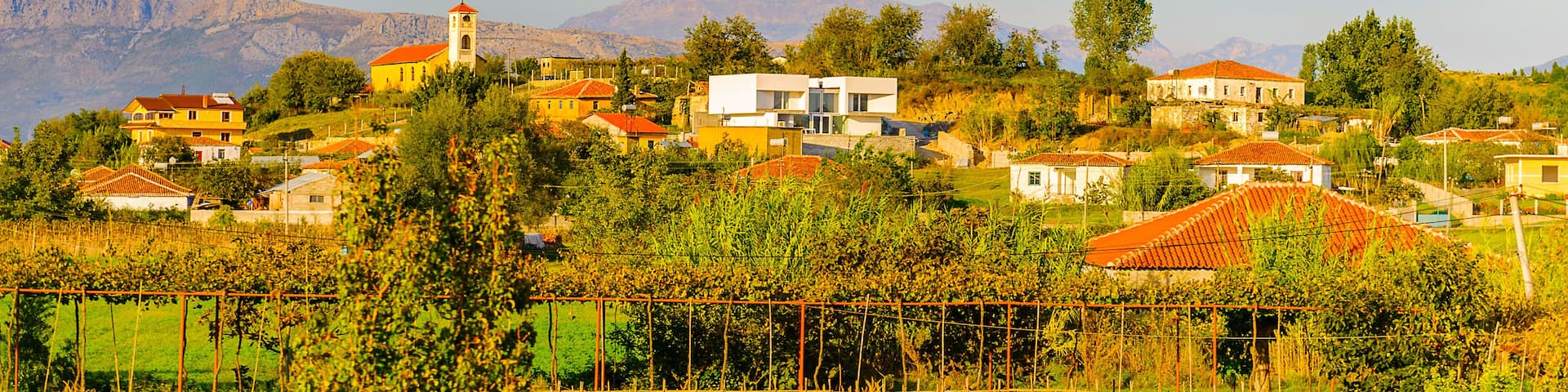 A rural village with houses, a church, and vineyards.