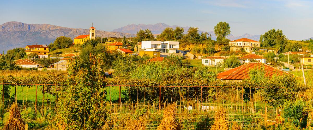 A rural village with houses, a church, and vineyards.