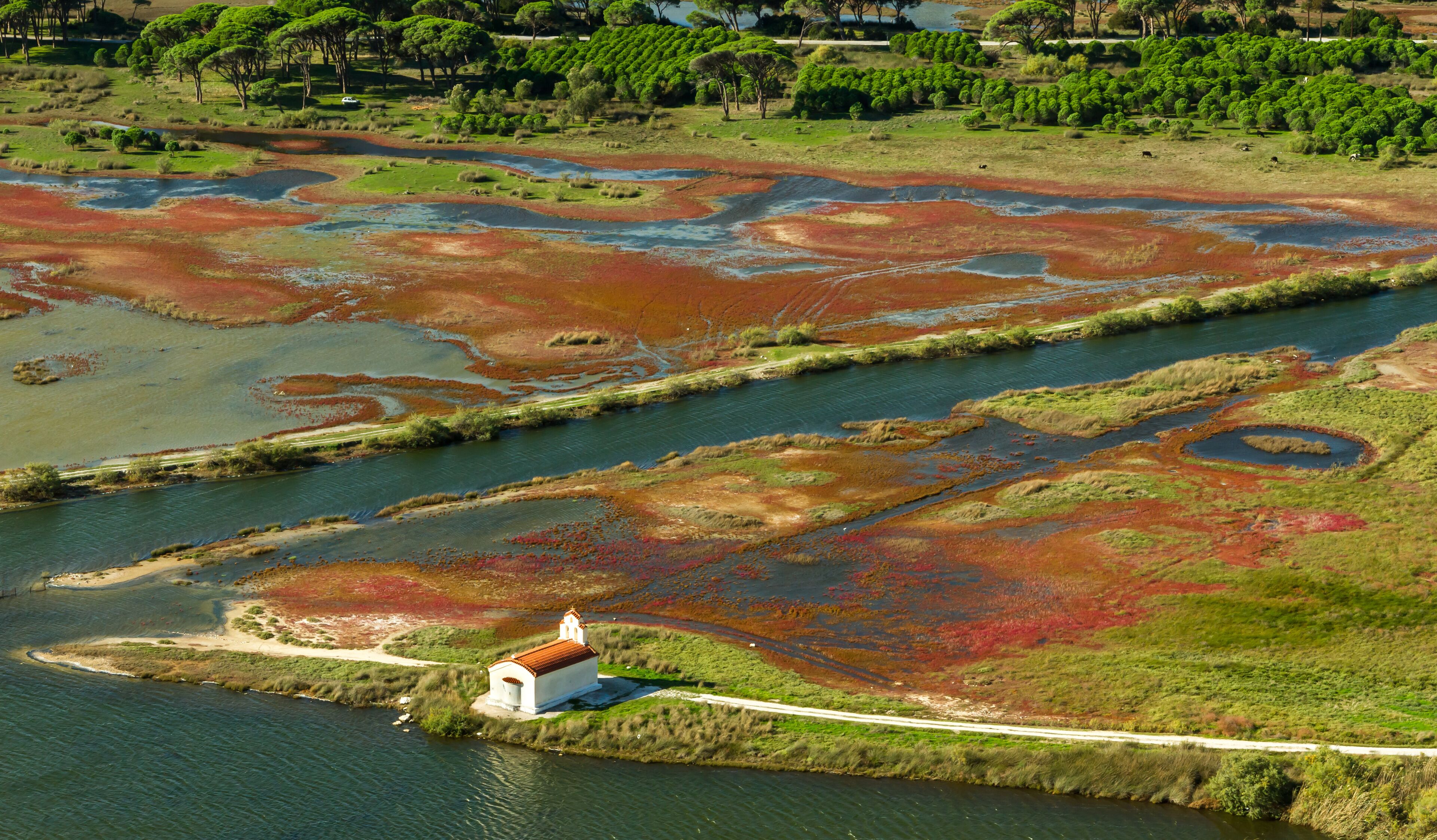 A river with red and green vegetation, a small white building, and a road.