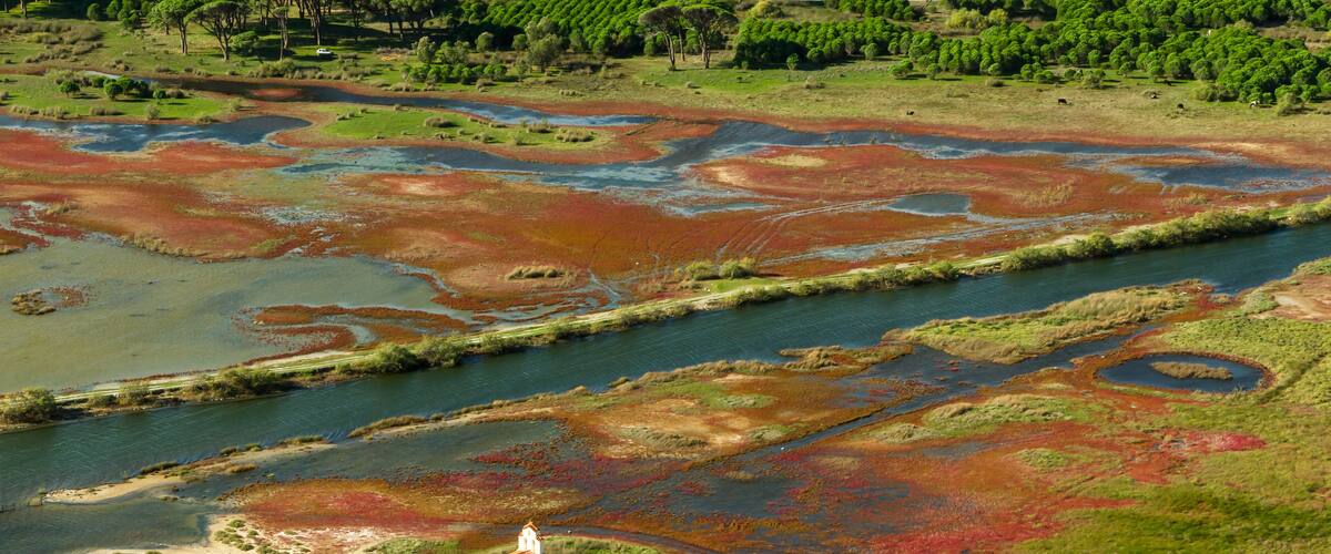 A river with red and green vegetation, a small white building, and a road.