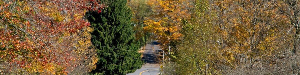 West Delhi a hamlet in Delaware County NY