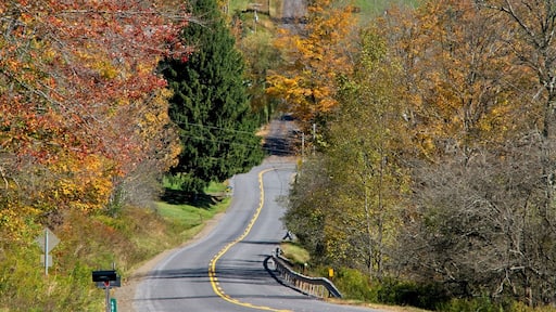 ويست أونيونتا