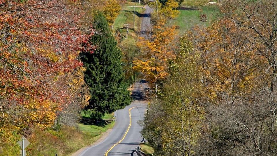 A winding road through a rural area with autumn foliage, a white house, and a red barn.