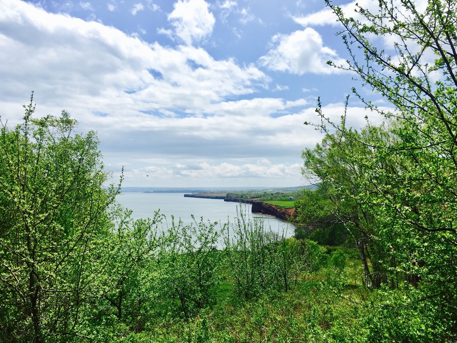 Lovely place to take a hike or just admire the views!
#green
#redcliffs
#GreatOutdoors
