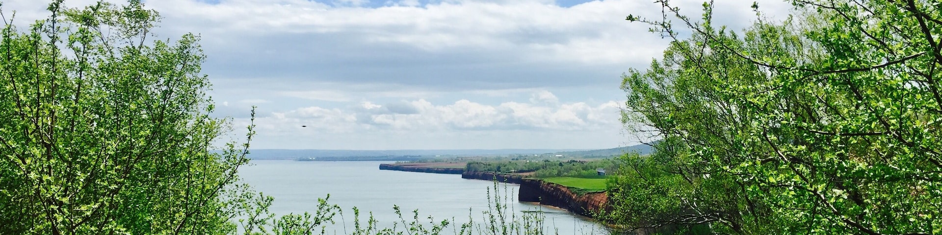 Lovely place to take a hike or just admire the views!
#green
#redcliffs
#GreatOutdoors