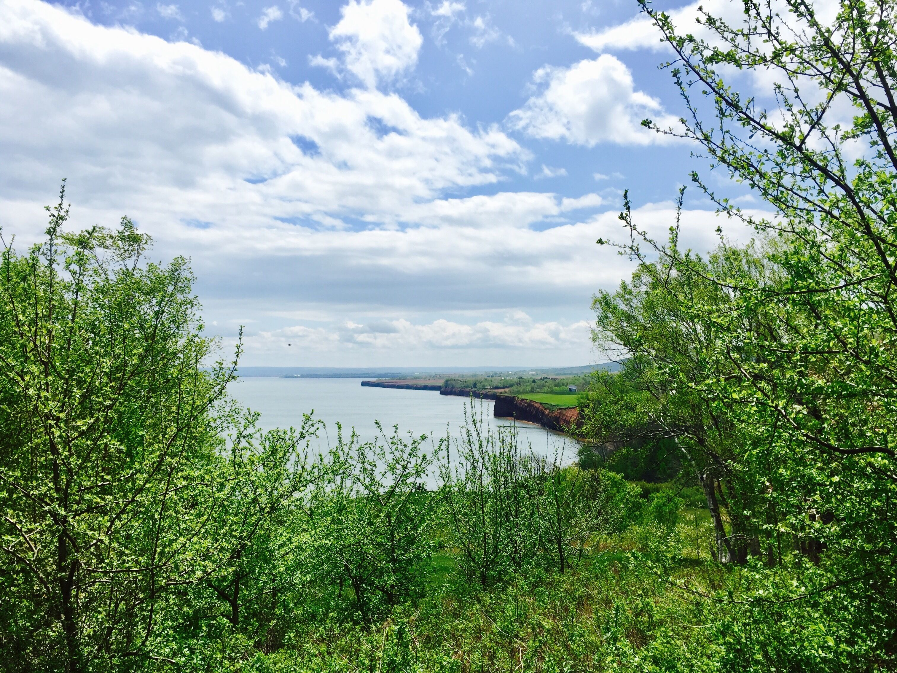 A coastal landscape with lush greenery, a body of water, and distant hills under a partly cloudy sky.