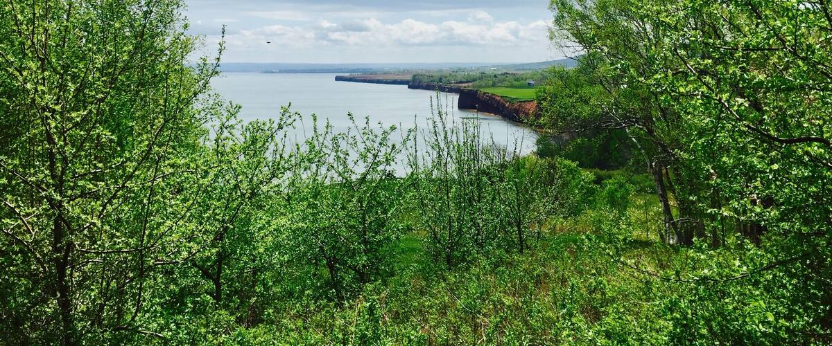 A coastal landscape with lush greenery, a body of water, and distant hills under a partly cloudy sky.