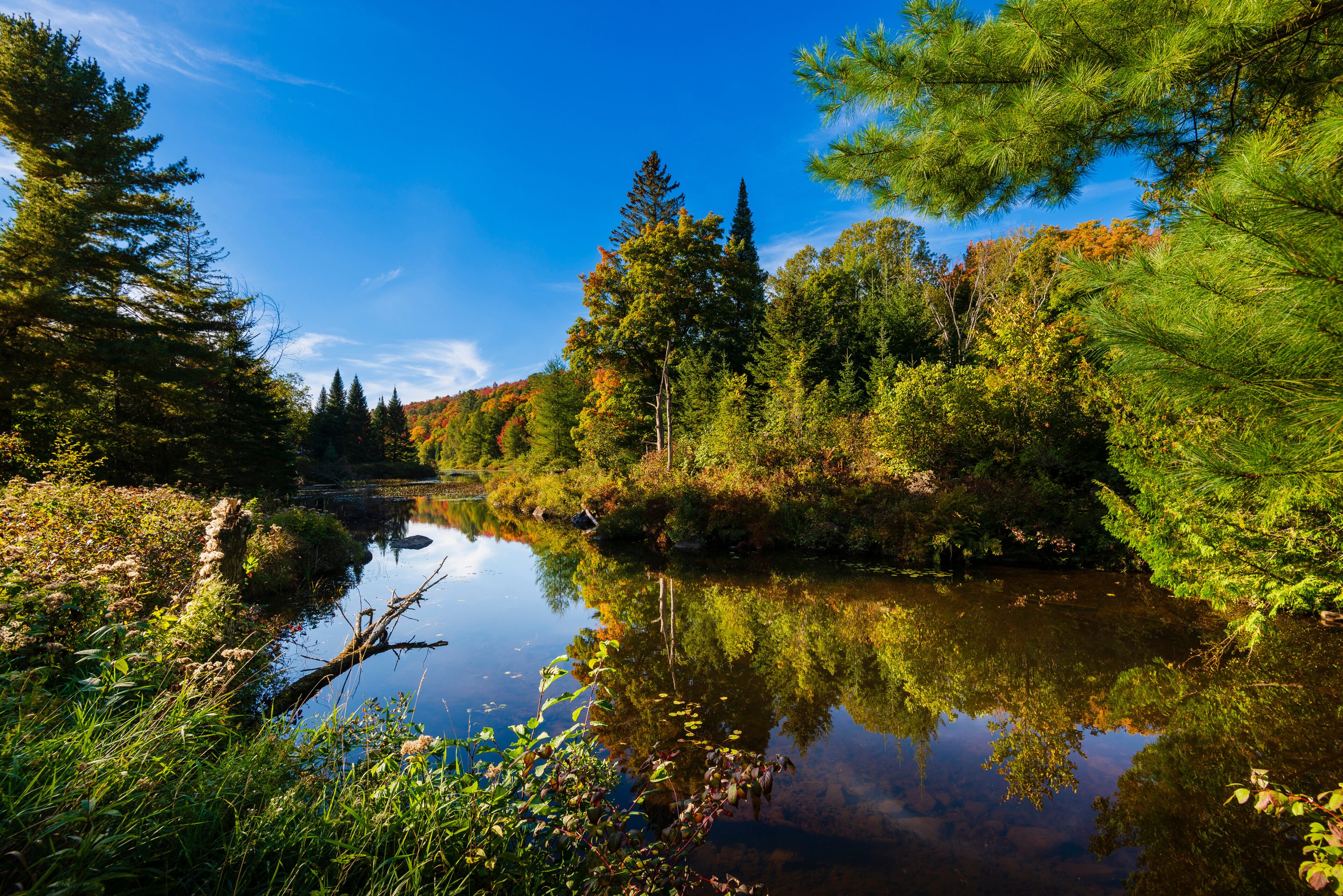 A calm river surrounded by dense forest with autumn foliage.