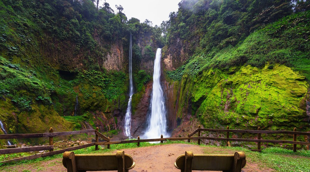 Catarata del Toro