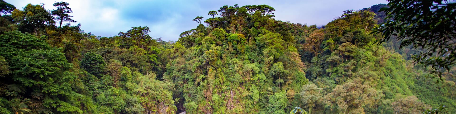 Catarata Del Toro