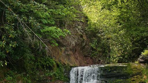 Buck Hill Falls