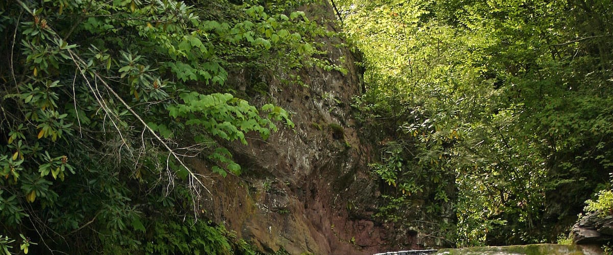 A waterfall cascading over a rocky cliff surrounded by dense greenery.