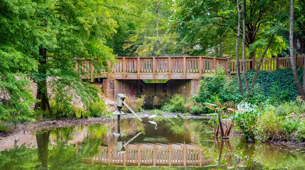 An overlooking view of nature in Aiken, South Carolina