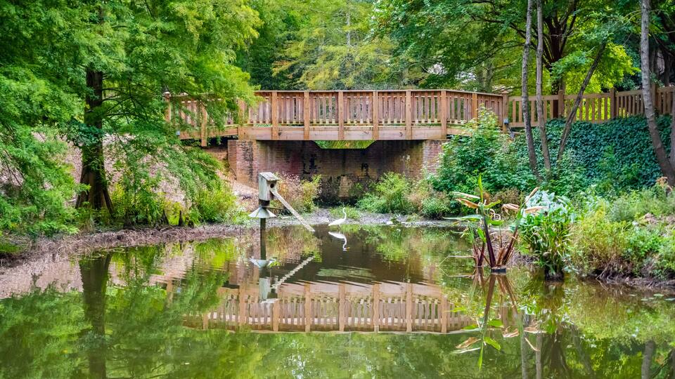 A wooden bridge over a pond surrounded by lush greenery.