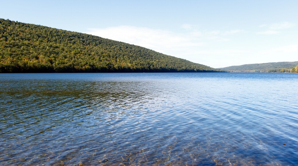 A calm lake with clear blue water, surrounded by dense green forested hills.