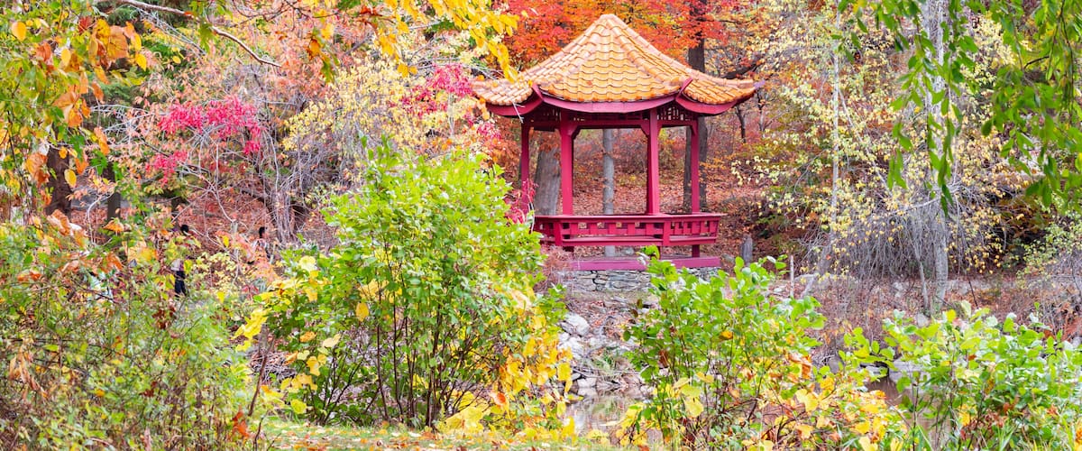 A traditional pavilion surrounded by autumn foliage.