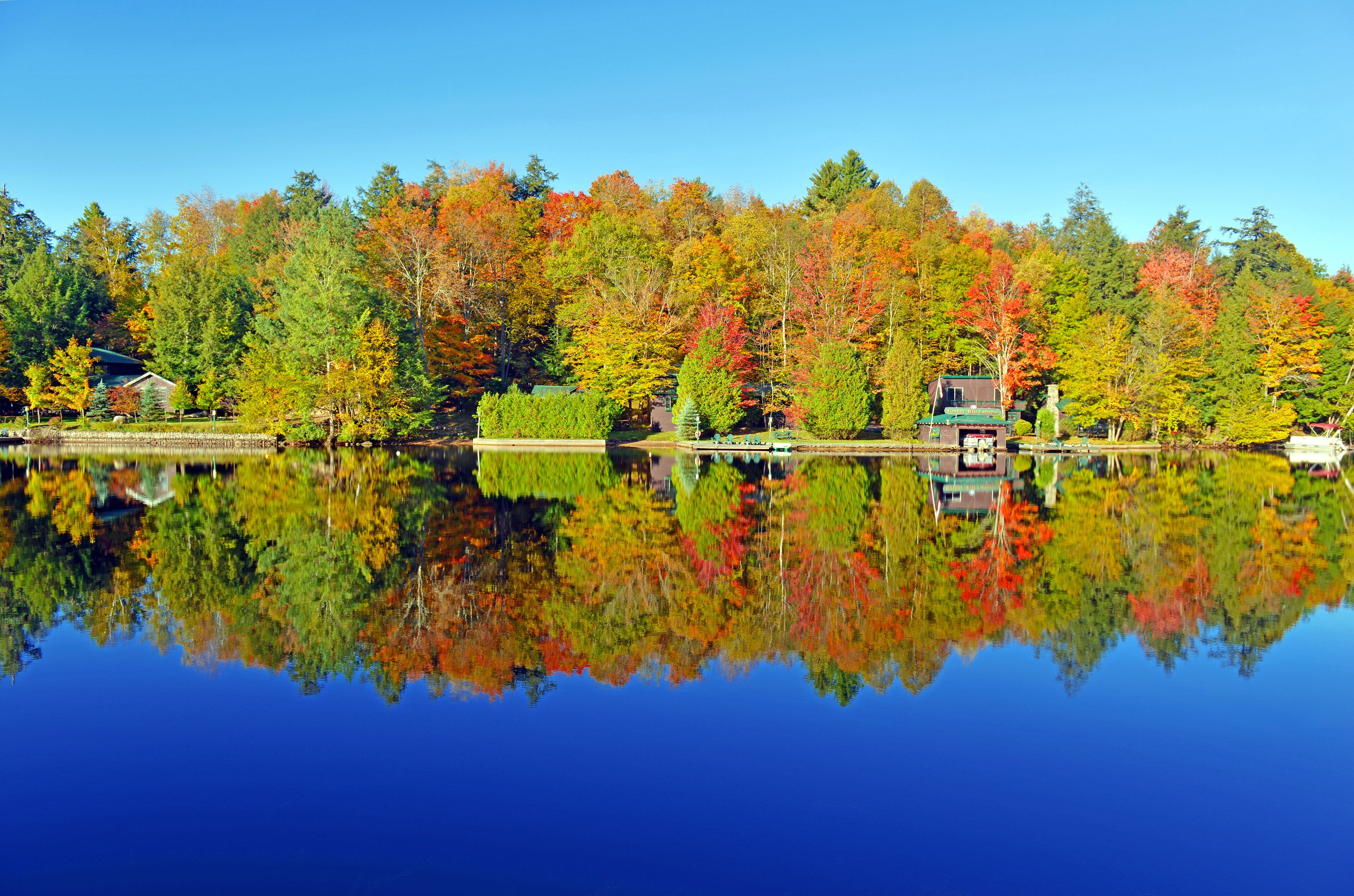 Autumn Color: Fall Foliage in the Forest with Reflection in Lake