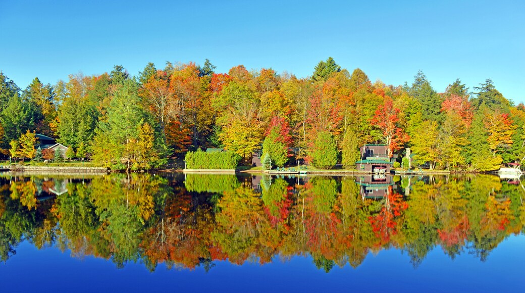 Autumn Color: Fall Foliage in the Forest with Reflection in Lake
