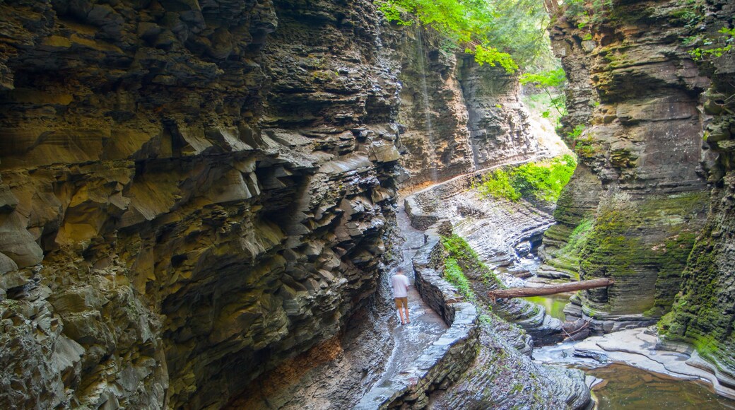 Pluto Falls, Watkins Glen State Park, New York