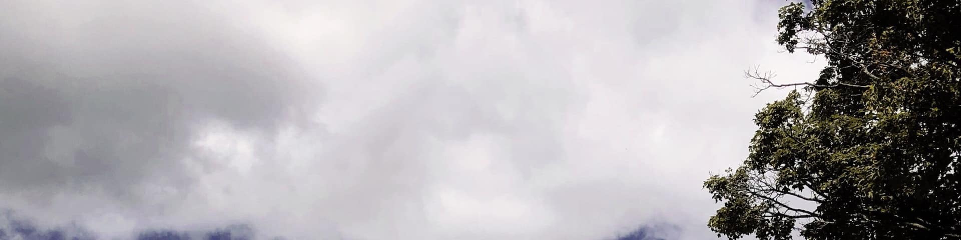 Such a cute farm and far into the seemingly middle of no where. You can pick your own or buy items in the large red barn. We visited on an open farm day but happily want to go back again!