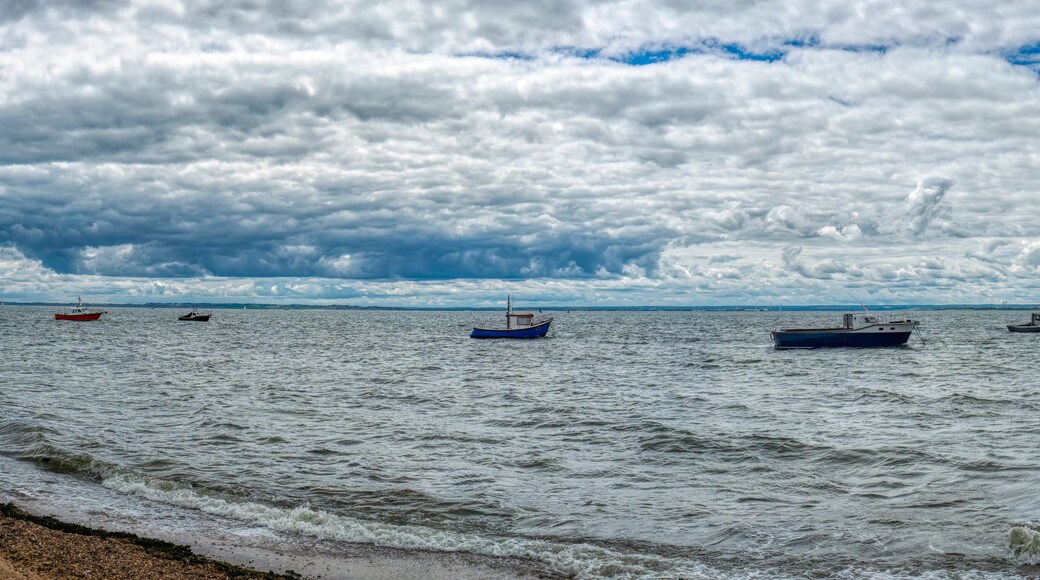 Distrito de Tendring