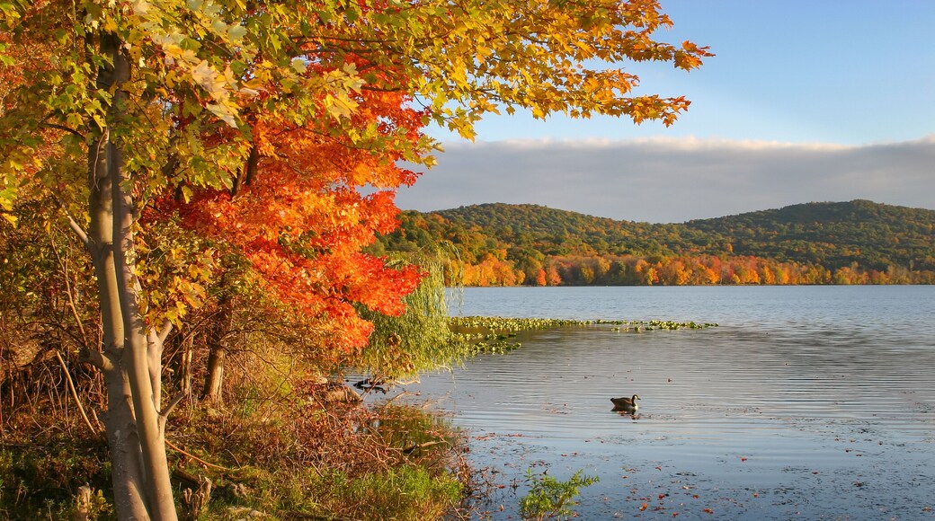 ํด๋ฝ์คํ์ด ๋ง์