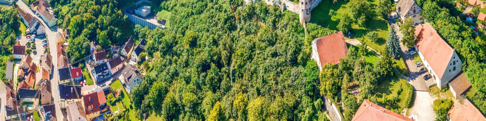 A castle surrounded by lush greenery and a small village.