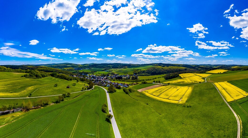 Distrito de Hochtaunuskreis