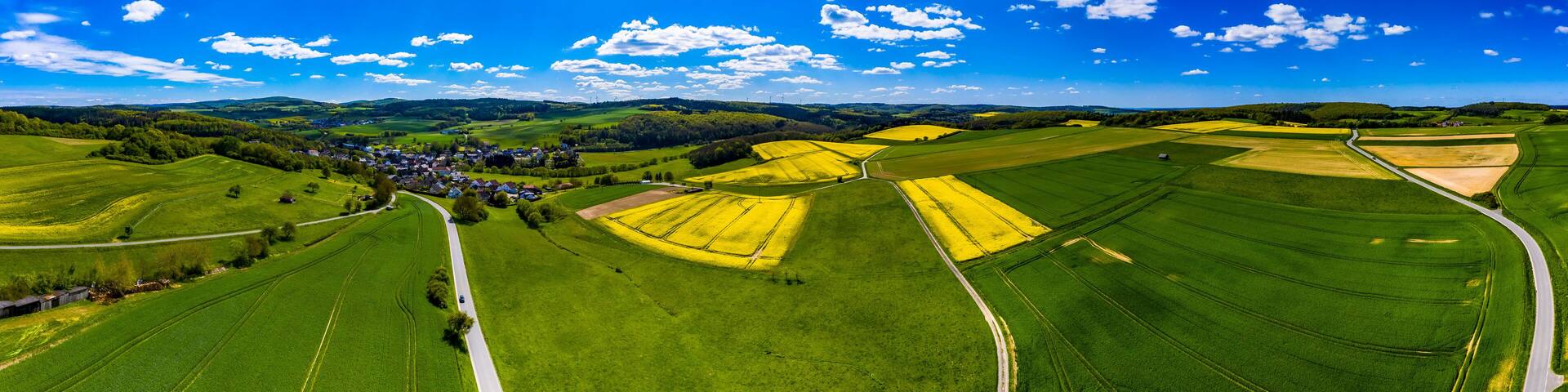 Aerial view, agriculture with cereal fields and rapeseed cultivation, Usingen, Schwalbach, Hochtaunuskreis, Hesse, Germany