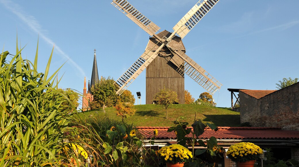 Bockwindmühle in Werder (Havel)