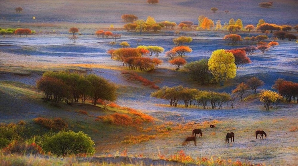 Autumn to the #UlanBuhGrassland, Inner Mongolia of China.
乌兰布统之秋
https://twitter.com/Beautifulgx