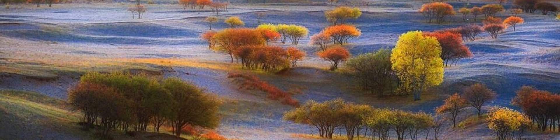 Autumn to the #UlanBuhGrassland, Inner Mongolia of China.
乌兰布统之秋
https://twitter.com/Beautifulgx