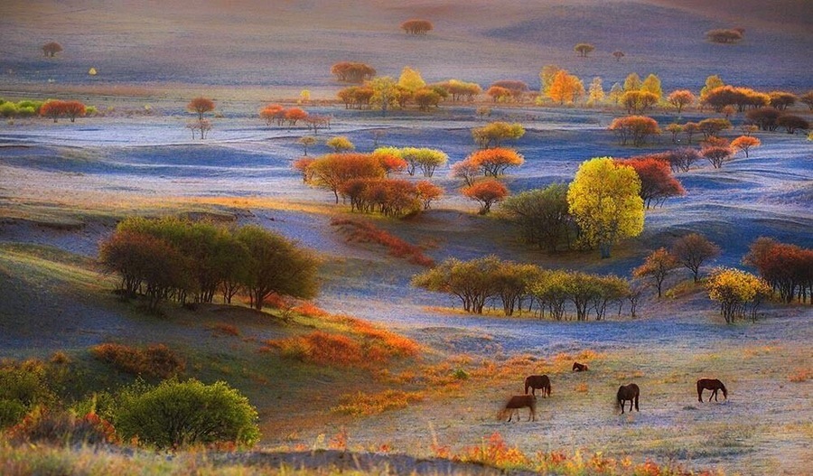 Autumn to the #UlanBuhGrassland, Inner Mongolia of China.
乌兰布统之秋
https://twitter.com/Beautifulgx