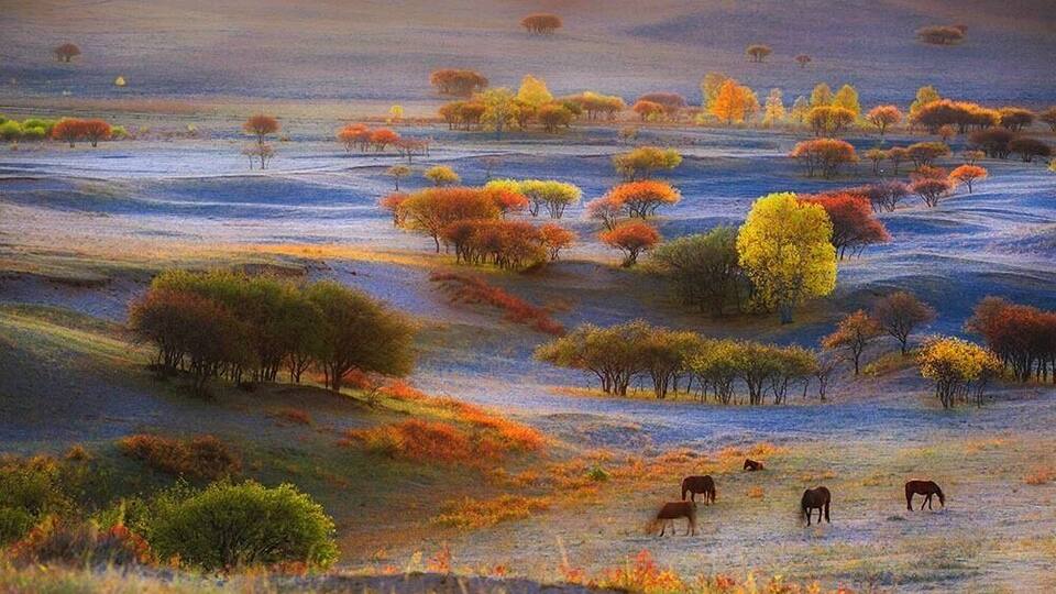 Autumn to the #UlanBuhGrassland, Inner Mongolia of China.
乌兰布统之秋
https://twitter.com/Beautifulgx