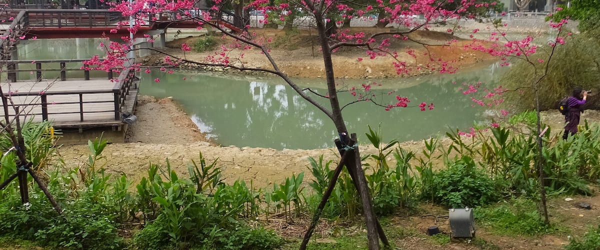 麗池 Li Pond