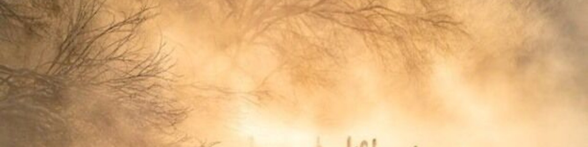 冬季最美的天鹅湖 The most beautiful Swan Lake in winter
早晨天鹅湖的天空上,出现了金黄色的晨光,把整个的天鹅湖映照成了美丽的金黄色。这景象真是太美了,太难得了!