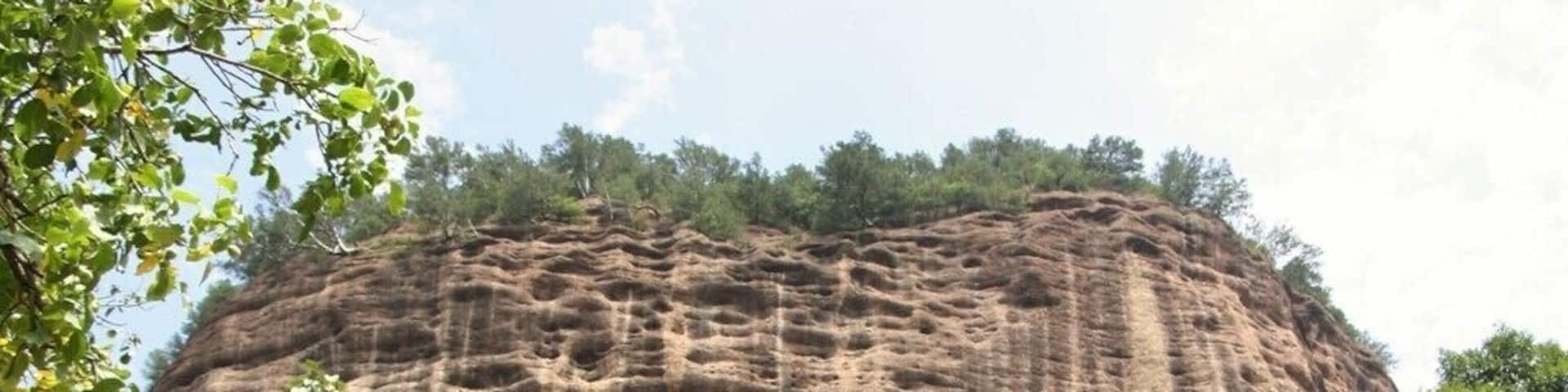 Extraordinary Buddha Carvings