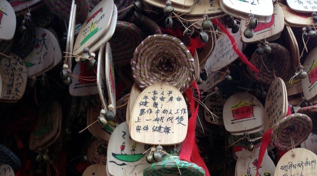 Old Town of Lijiang, The town has a history going back more than 1,000 years and was once a confluence for trade along the "Old Tea Horse Caravan Trail". The Dayan Old town is famous for its orderly system of waterways and bridges, a system fast becoming. #OldTownofLijiang #China