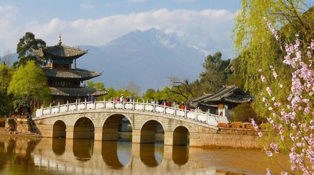 Built in 1737 during the Qing Dynasty, Black Dragon Pool is a very popular place to visit and a must see for travellers heading to China's Yunan Province.
It's reflective waters are incredibly peaceful and form a wonderful foreground to the views of the tallest mountains that lie in the background - Jade Snow Mountains.
This was one of my favourite spots I visited on one of my many trips to China - and I place I highly recommend visiting, especially in the Spring when the blossoms are out.
#China #Asia #YunanProvince #BlackDragonPool #StunningStructures #SpringFun #InStone #UrbanJungle #Parks