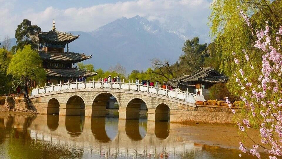 Built in 1737 during the Qing Dynasty, Black Dragon Pool is a very popular place to visit and a must see for travellers heading to China's Yunan Province.
It's reflective waters are incredibly peaceful and form a wonderful foreground to the views of the tallest mountains that lie in the background - Jade Snow Mountains.
This was one of my favourite spots I visited on one of my many trips to China - and I place I highly recommend visiting, especially in the Spring when the blossoms are out.
#China #Asia #YunanProvince #BlackDragonPool #StunningStructures #SpringFun #InStone #UrbanJungle #Parks