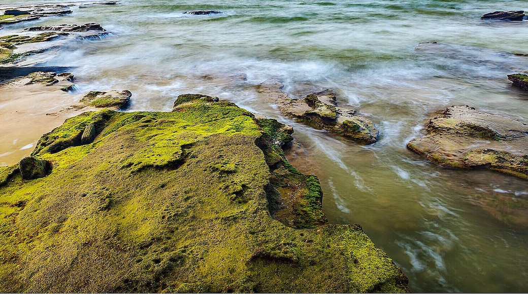Beihai #Weizhou Island of #Guangxi,a beautiful and the largest volcanic island in China.
https://twitter.com/Beautifulgx