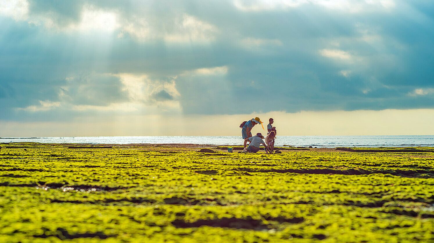 Beihai #Weizhou Island of #Guangxi,a beautiful and the largest volcanic island in China.

https://twitter.com/Beautifulgx