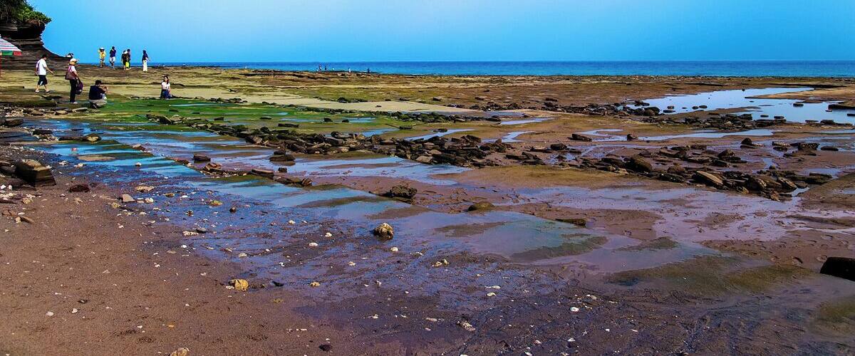 Beihai #WeizhouIsland,there's not only poem,but also delicious cuisine.
https://twitter.com/Beautifulgx