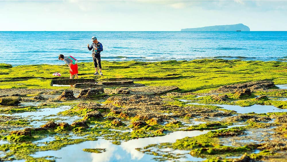 Beihai #Weizhou Island of #Guangxi,a beautiful and the largest volcanic island in China.
https://twitter.com/Beautifulgx