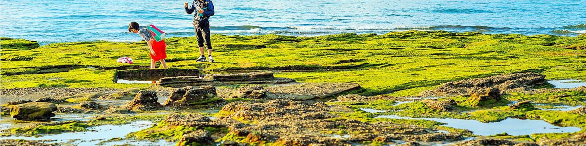 Beihai #Weizhou Island of #Guangxi,a beautiful and the largest volcanic island in China.
https://twitter.com/Beautifulgx