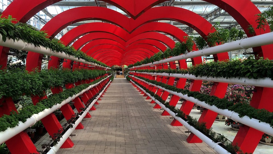 Yulin Wucai Garden #五彩田园 .
https://twitter.com/Beautifulgx