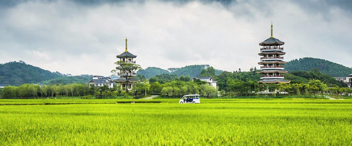 In the field of hope.#Longping High-tech Hybrid Rice Demonstration Base in #Yulin of China.
https://twitter.com/Beautifulgx