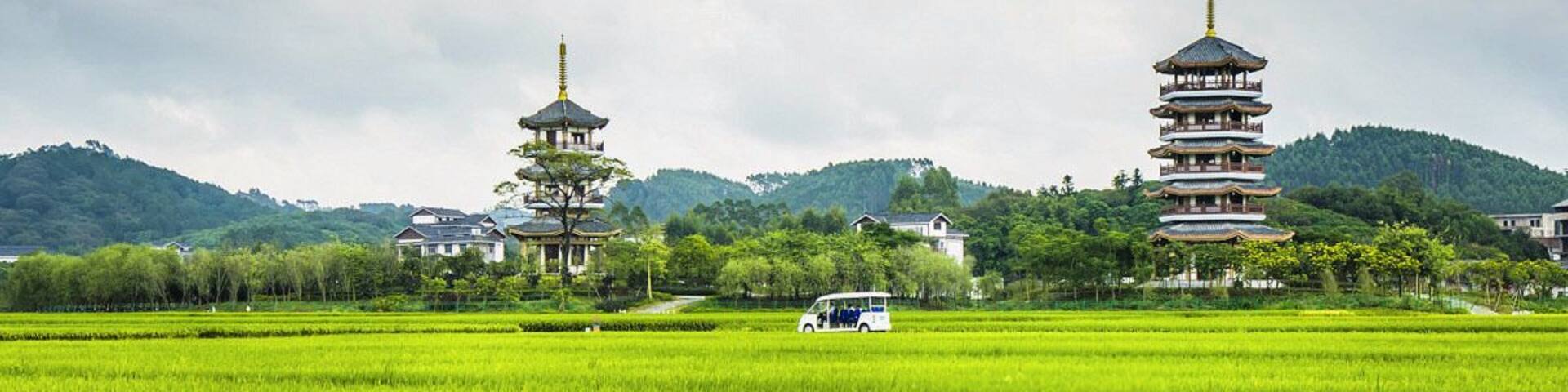 In the field of hope.#Longping High-tech Hybrid Rice Demonstration Base in #Yulin of China.
https://twitter.com/Beautifulgx