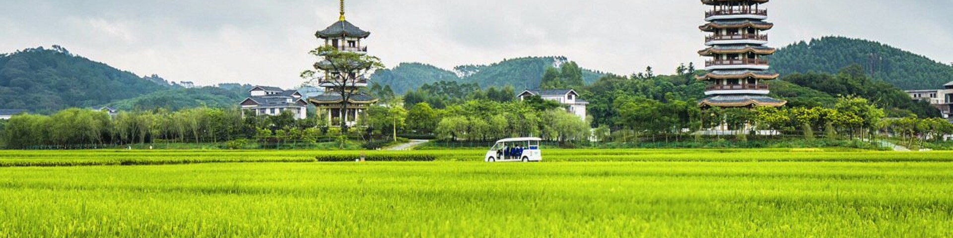 In the field of hope.#Longping High-tech Hybrid Rice Demonstration Base in #Yulin of China.
https://twitter.com/Beautifulgx
