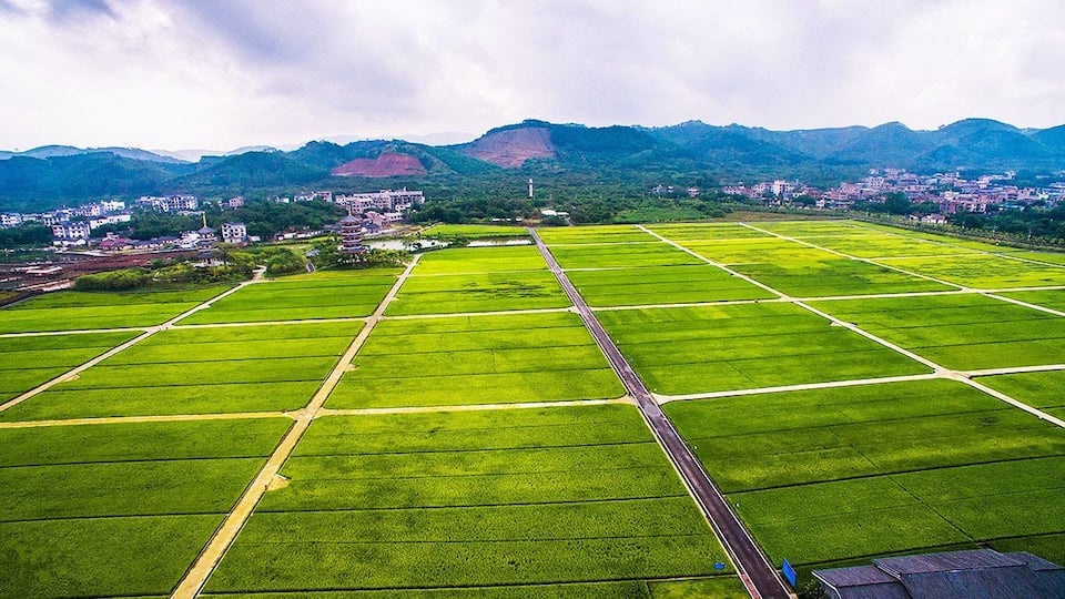 In the field of hope.
https://twitter.com/Beautifulgx